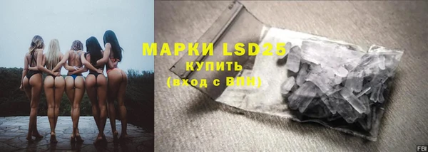 прущий лед Алзамай